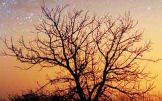 如果你身边有人沉迷十二生肖，先别骂，先看这个：越快看懂越安全