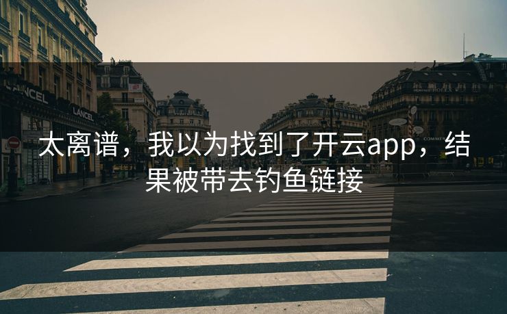 太离谱，我以为找到了开云app，结果被带去钓鱼链接
