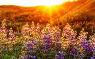 实测复盘：遇到爱游戏体育app，只要出现客服只催你操作不解释就立刻停